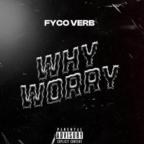 WHY WORRY | Boomplay Music