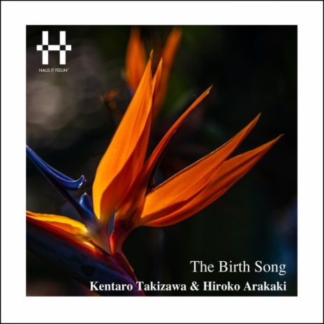 The Birth Song (Inst Mix) ft. Hiroko Arakaki | Boomplay Music