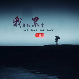 我真的累了 lyrics | Boomplay Music