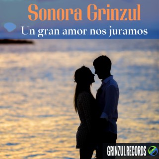 Sonora Grinzul