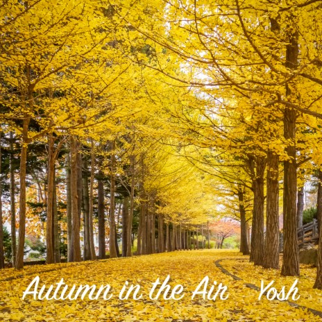 Autumn in the Air | Boomplay Music