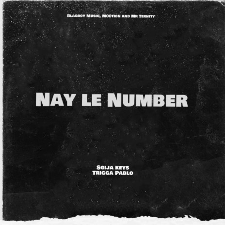 Nay le Number ft. TriggaPablo, Blaqboy Musiq, M00tion & Mr Ternity