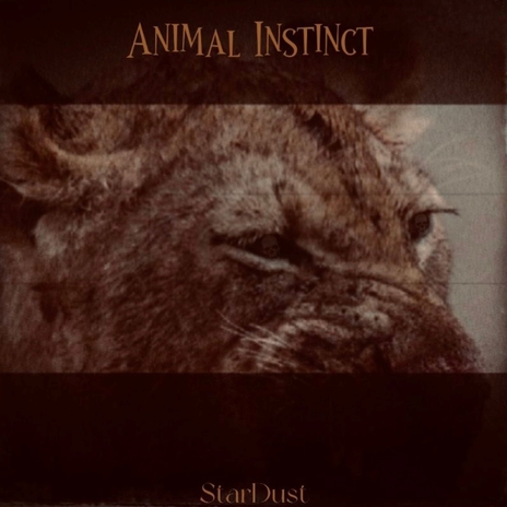 Animal Instincts | Boomplay Music