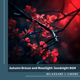 Autumn Breeze and Moonlight: Goodnight BGM
