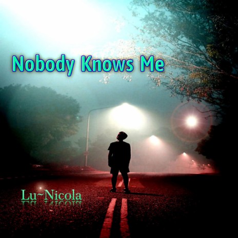 Nobody Knows Me | Boomplay Music