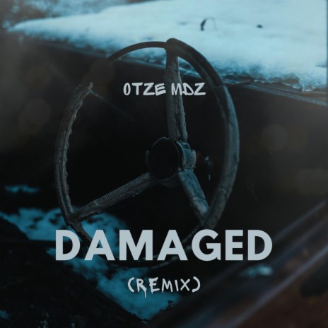 Damaged (Remix)