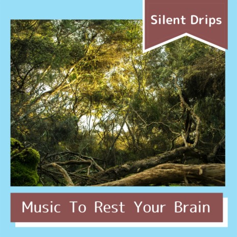 Soothing for the Peaceful Mind | Boomplay Music