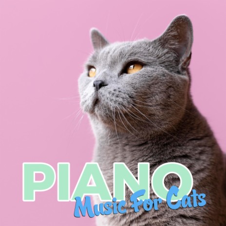 Magic music for Cats