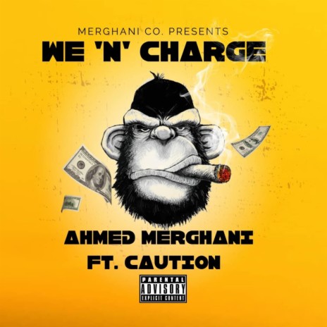 We 'N' Charge Ft. Caution | Boomplay Music