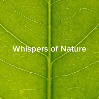 Whispers of Nature