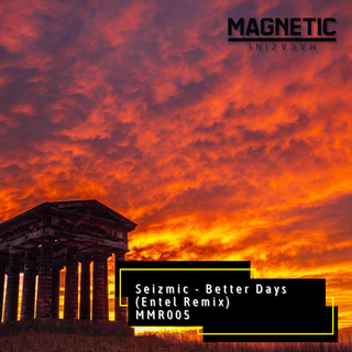 Better Days (Entel Remix)