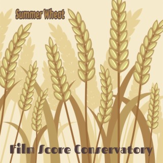 Summer Wheat