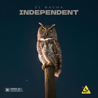 Independent