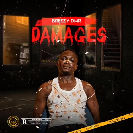 Damages | Boomplay Music