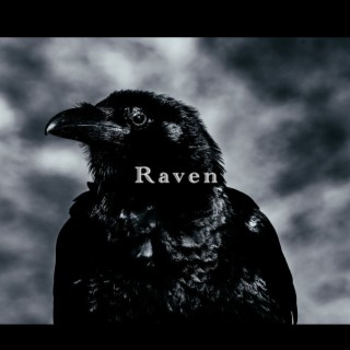 Raven