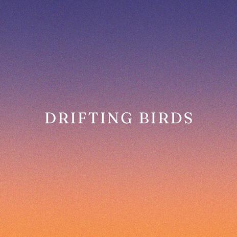 Drifting Birds