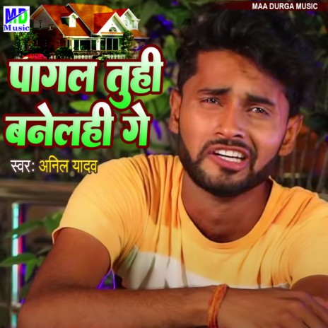 Pagal Tuhi Banelahi Ge | Boomplay Music