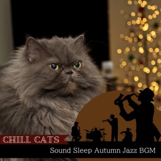 Sound Sleep Autumn Jazz BGM