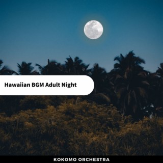 Hawaiian BGM Adult Night