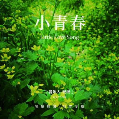 小青春 | Boomplay Music