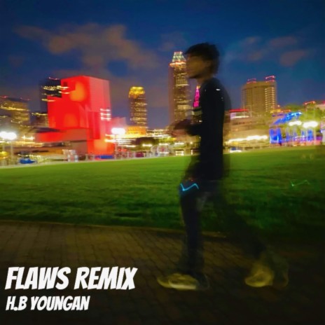 Flaws (Remix)