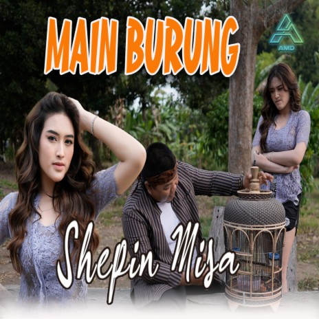 Main Burung | Boomplay Music