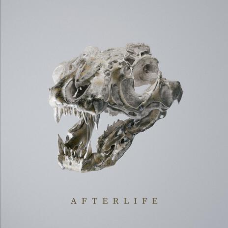 Afterlife | Boomplay Music