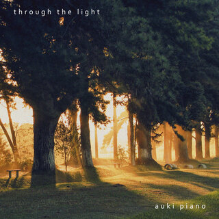 Through the Light