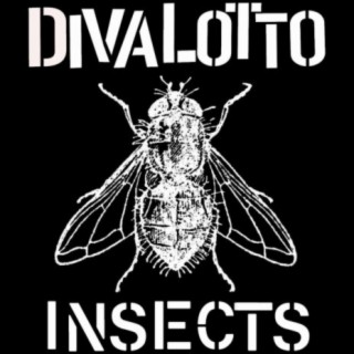 INSECTS