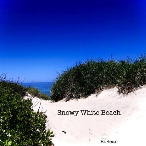 Snowy White Beach | Boomplay Music