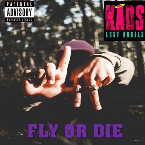 Fly or Die | Boomplay Music