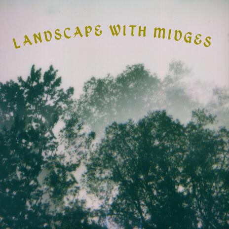 Landscape with Midges (Remix) ft. Zyggurat | Boomplay Music