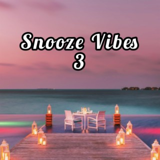 Snooze Vibes 3