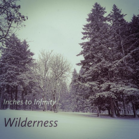 Wilderness