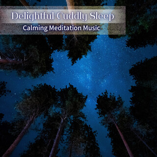 Calming Meditation Music