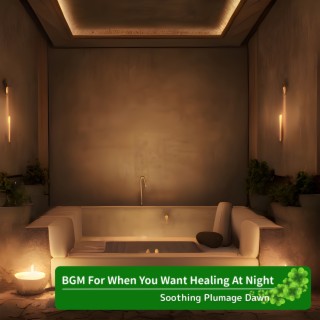 BGM For When You Want Healing At Night