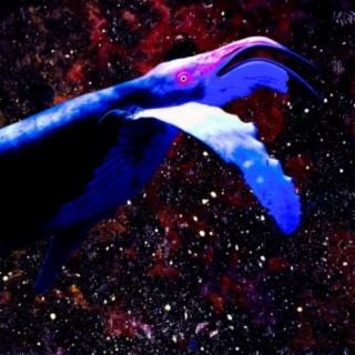 Cosmic Whales