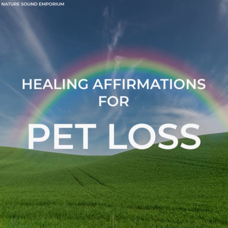 Healing Affirmations For Pet Loss