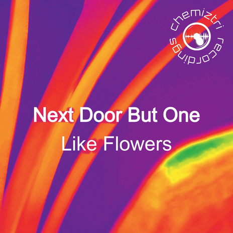 Like Flowers (Extended Instrumental) | Boomplay Music