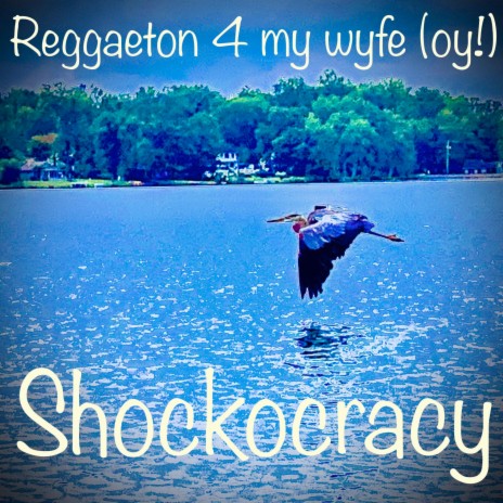Reggaeton 4 my wyfe (oy!) | Boomplay Music