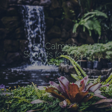 Mellifluous Melody Mixture ft. Sleep Music Lullabies & Sonido Del Bosque y Naturaleza | Boomplay Music