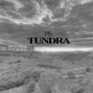 Tundra