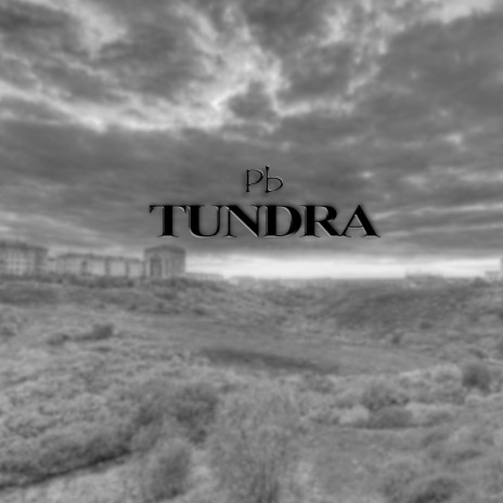 Tundra | Boomplay Music