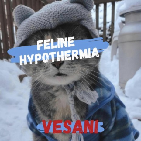 Feline Hypothermia | Boomplay Music