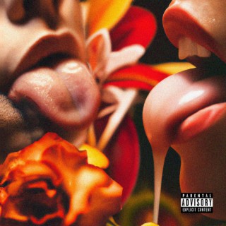 Bloody Tulips lyrics | Boomplay Music