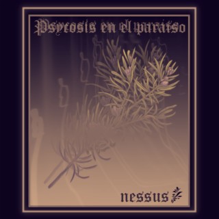 Nessus