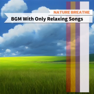 BGM With Only Relaxing Songs