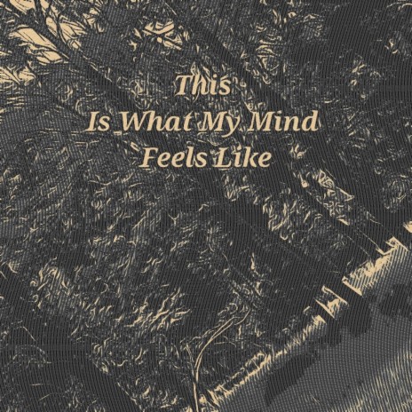 This is What My Mind Feels Like | Boomplay Music