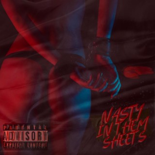 Nasty in them sheets lyrics | Boomplay Music