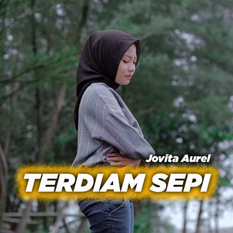 Terdiam Sepi | Boomplay Music